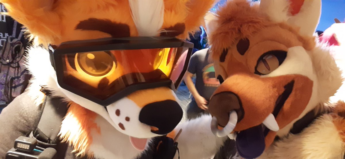 Best paws in Friends Vs. Friends!