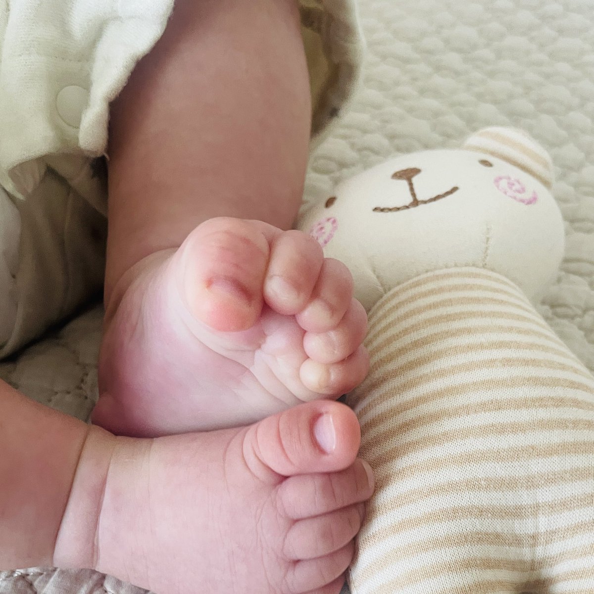 母の日。今年は「ありがとう」と言ってもらえる幸せを噛み締めていました。

先日出産をし、命を授かる奇跡を痛感しています👶
しなやかさとたくましさを伝えられる母になりたいです。親子ともども、これからもよろしくお願いします！