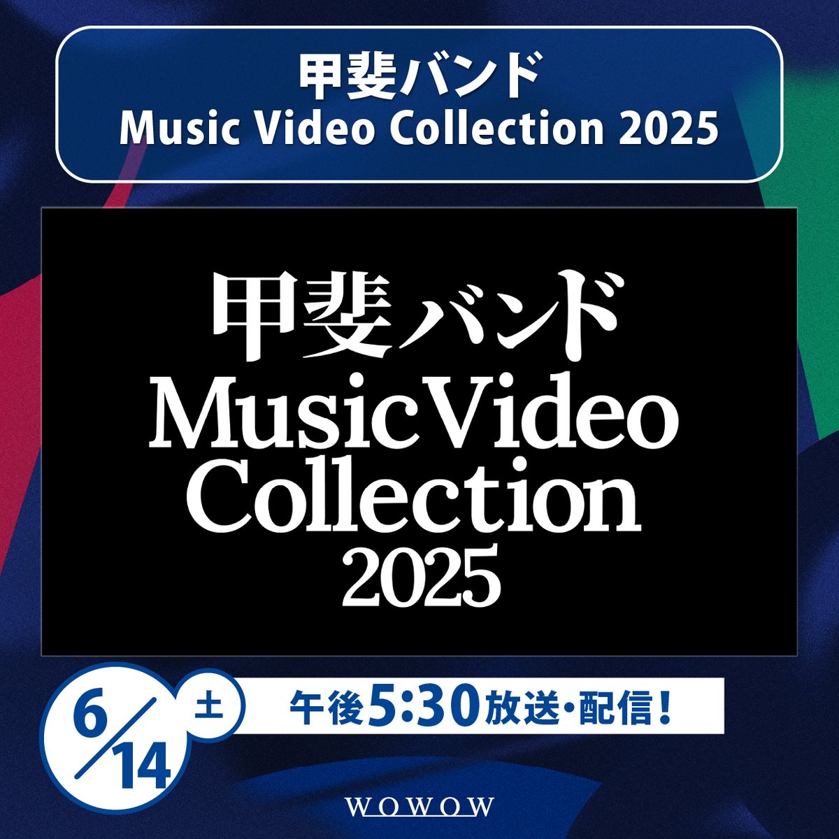 KAI BAND 50th Anniversary Tour VIP特典 甲斐バンド2025 50TH ANNIVERSARY tour VIP特典グッズ KAI SURF