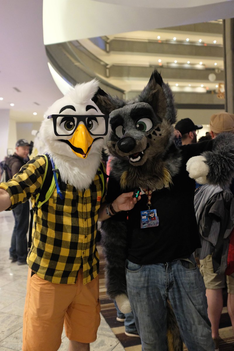 Wolfe (@Bro_Wolfe) / Posts / X