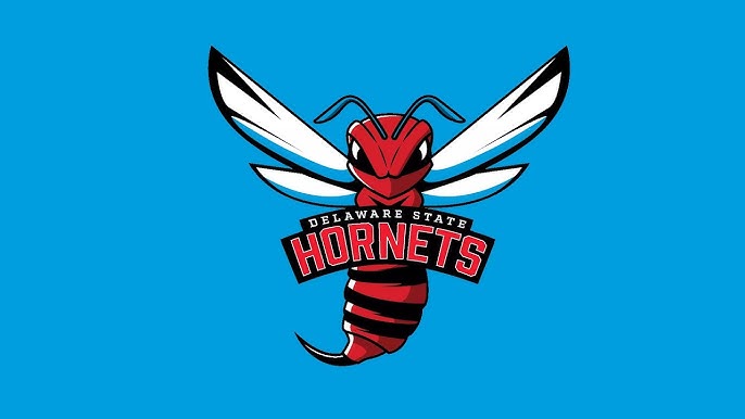 ALL GLORY TO GOD!!! Blessed to say I have received my first division one offer from Delaware State.#ag2g#DSU#Hornets