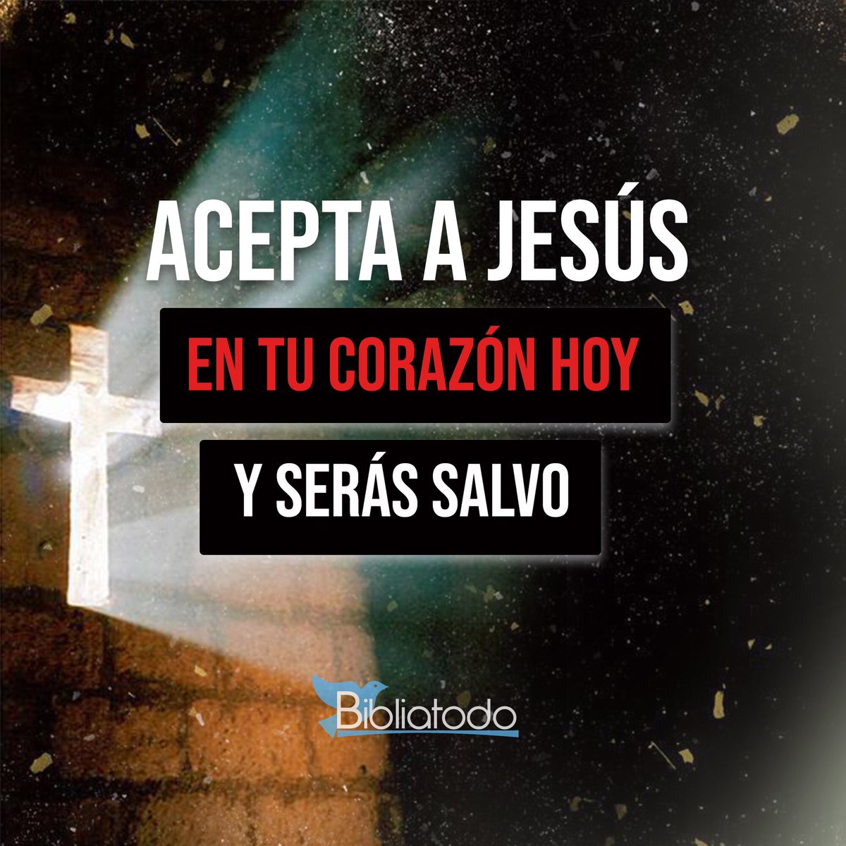 Rosalba Escaño (@rosalbaladiva) on Twitter photo 