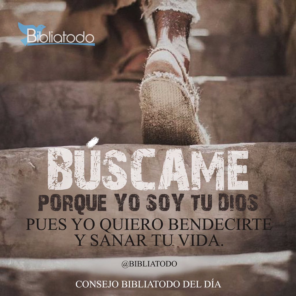 Rosalba Escaño (@rosalbaladiva) on Twitter photo 