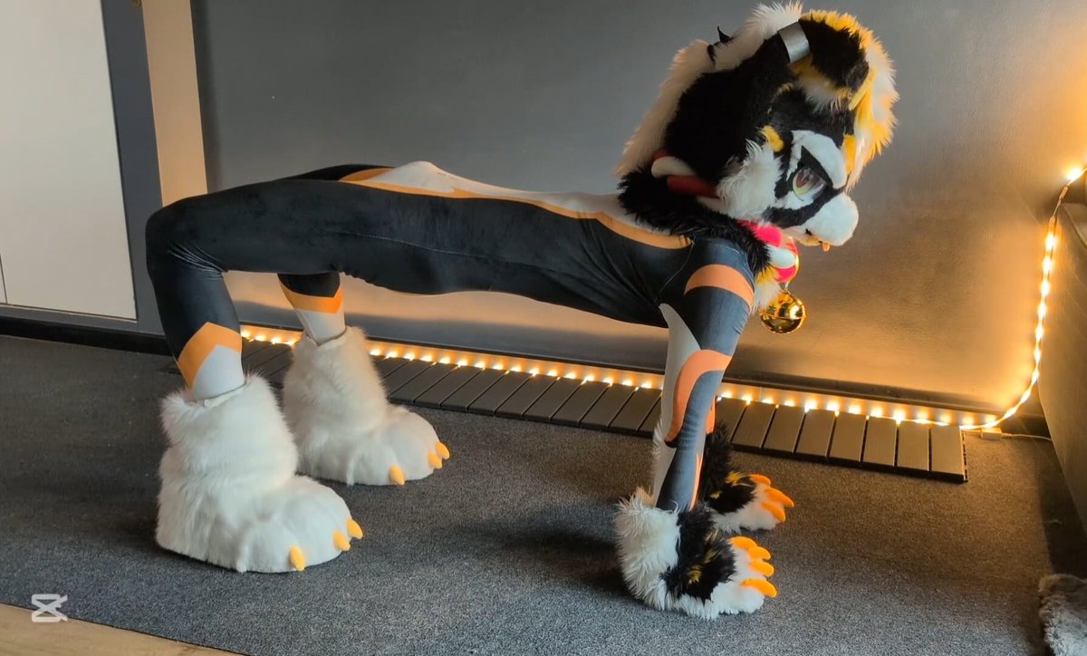 cheetah_paws's tweet photo. My first cursed image. https://t.co/mVaPXr0EBT