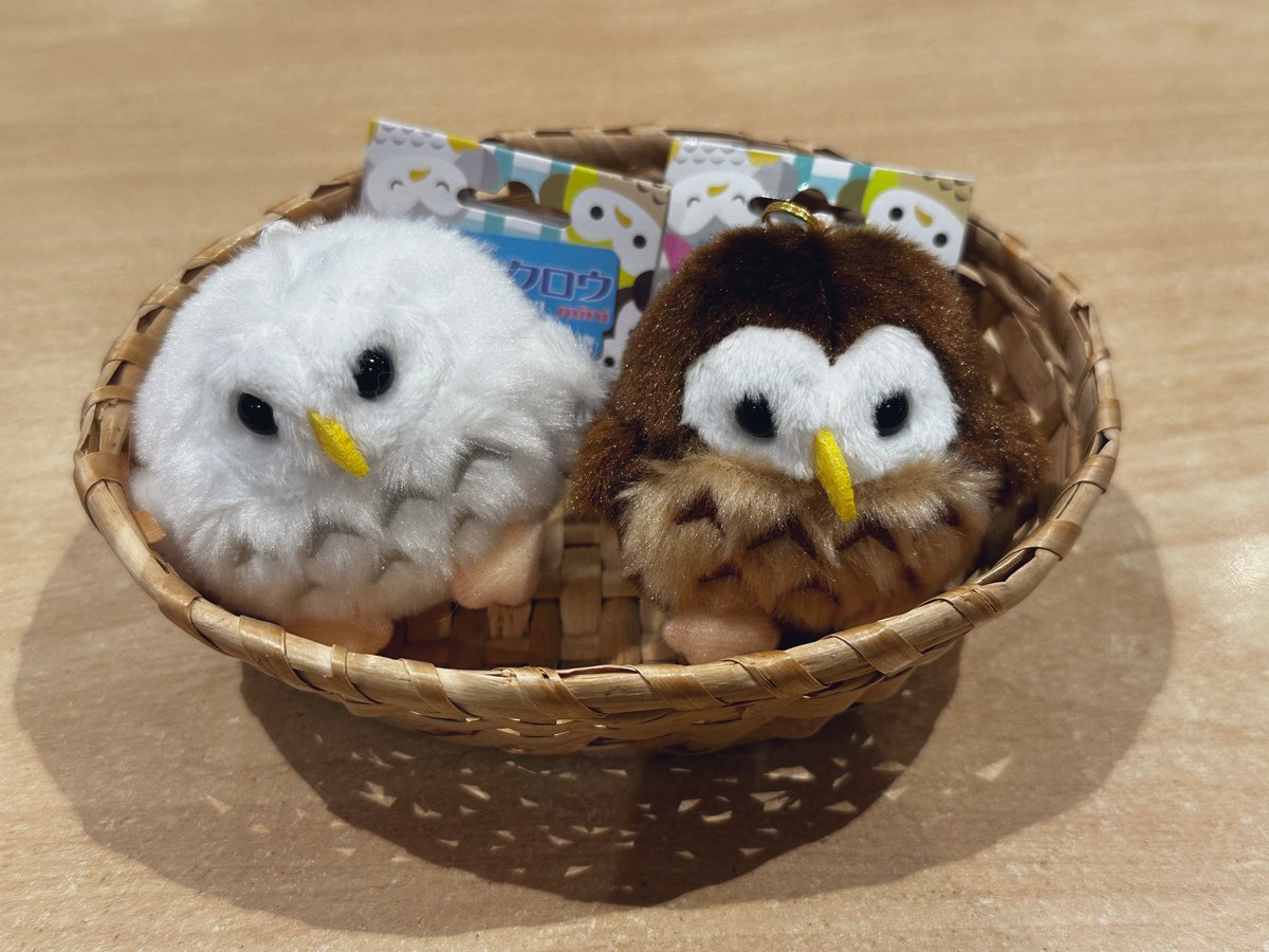 【商品入荷】

幸フクロウ キーホルダー
本日入荷いたしました🦉⚽️

ぬいぐるみは再販待ちとなります🌼

#フクロウ #梟 #幸フクロウ
#ブルーロック
#HIDEandSEEK #ゆめタウン下松
#山口県