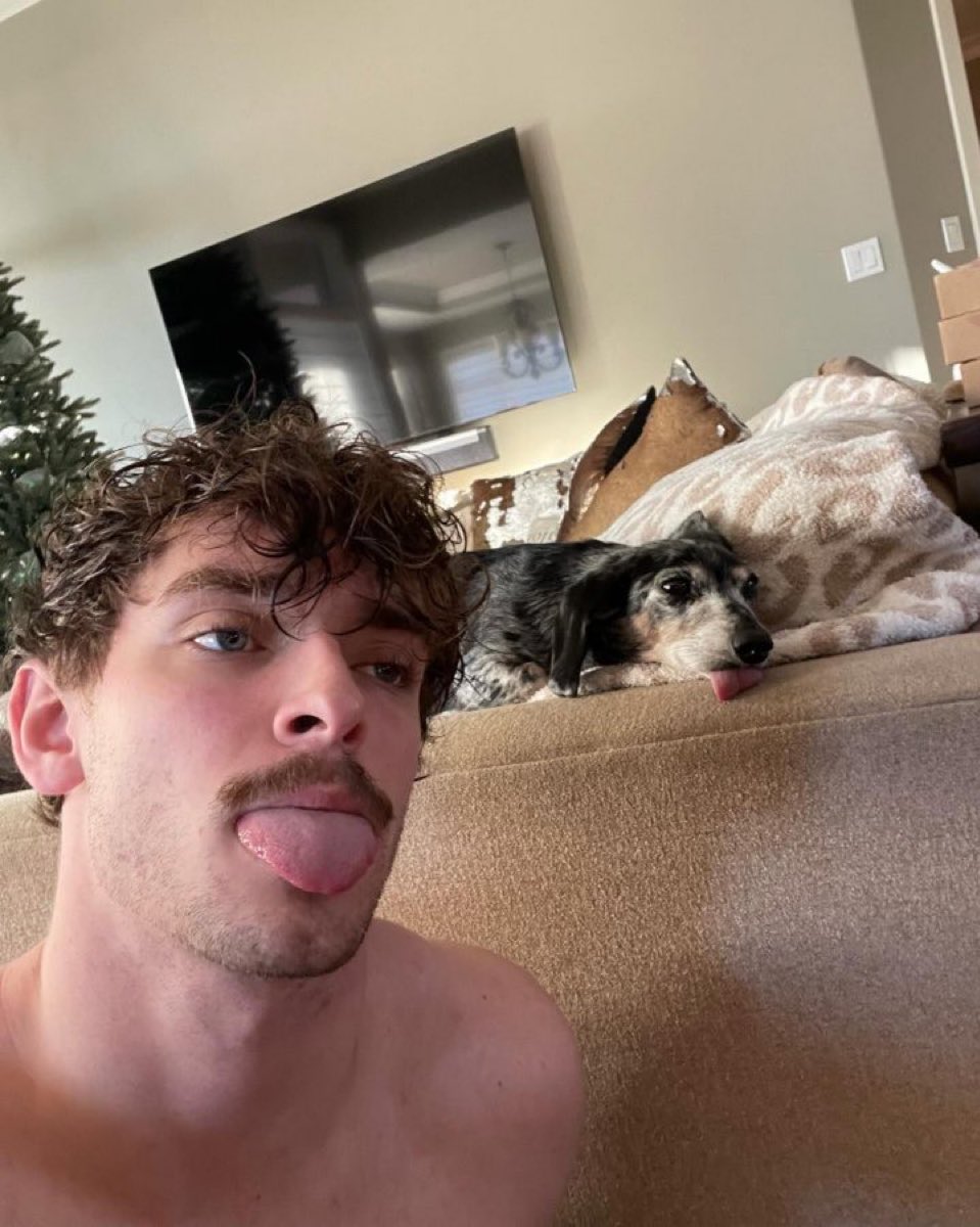 jkbchmparrowss's tweet image. Descansa em paz Daisy 🫶🏻🥺