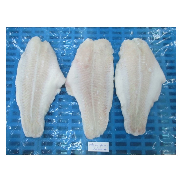 Trade4go's tweet image. PANGASIUS Frozen Fish for export

#pangasius #fish #export
