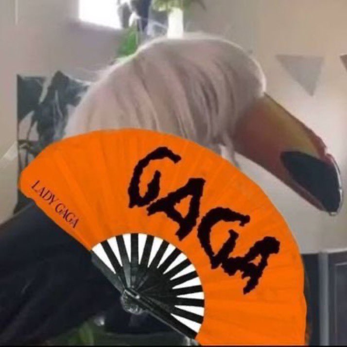 dancesexxartpop's tweet image. Um certo little monster que promoveu uma ação com certa marca valendo VIP e depois só os amigos dele ganharam e apareceram em video….