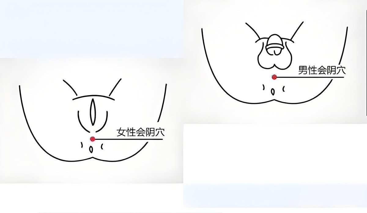 前列腺高潮科普㊙️ tweet media