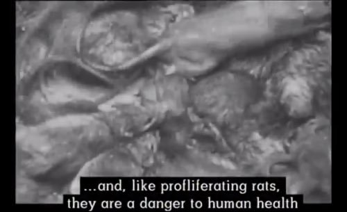 David Atherton (@daveatherton20) on Twitter photo ๐จ<a href="/GaryLineker/">Gary Lineker</a> posted "Zionism explained in two minutes" with an image of a rat. In 1940 Joseph Goebbels, head of Nazi propaganda ordered the making of the anti-Semitic The Eternal Jew who were depicted as rats, who "carry contagion & devour resources."
No comeback for this. ๐จ<a href="/GaryLineker/">Gary Lineker</a> posted "Zionism explained in two minutes" with an image of a rat. In 1940 Joseph Goebbels, head of Nazi propaganda ordered the making of the anti-Semitic The Eternal Jew who were depicted as rats, who "carry contagion & devour resources."
No comeback for this.
