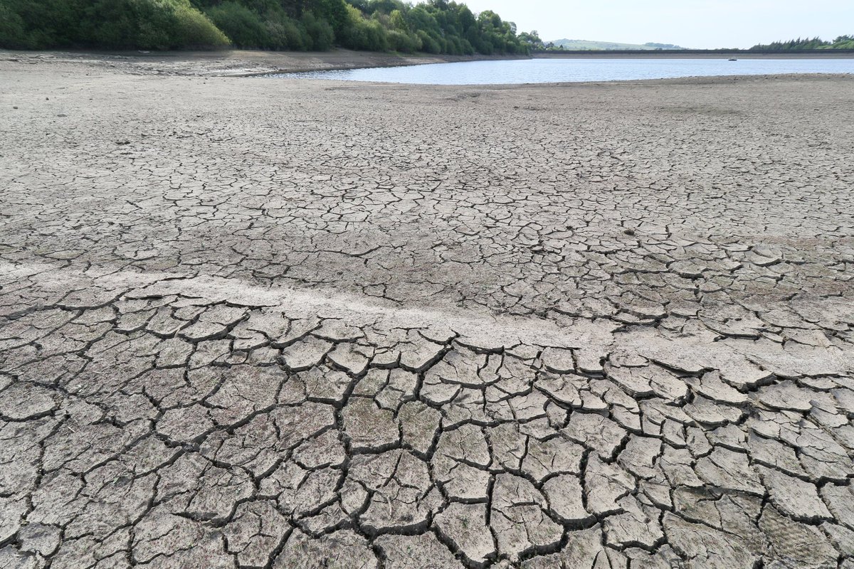 Phil Taylor (@philtay74697800) on Twitter photo Exceptionally dry conditions
<a href="/manchesterfire/">Greater Manchester Fire & Rescue Service</a> <a href="/LancashireFRS/">Lancashire Fire & Rescue Service</a>
Thanks to <a href="/SWNSLeeds/">SWNS Leeds</a> and <a href="/SWNS/">SWNS.com</a> for national publications on some of these. Exceptionally dry conditions
<a href="/manchesterfire/">Greater Manchester Fire & Rescue Service</a> <a href="/LancashireFRS/">Lancashire Fire & Rescue Service</a>
Thanks to <a href="/SWNSLeeds/">SWNS Leeds</a> and <a href="/SWNS/">SWNS.com</a> for national publications on some of these.