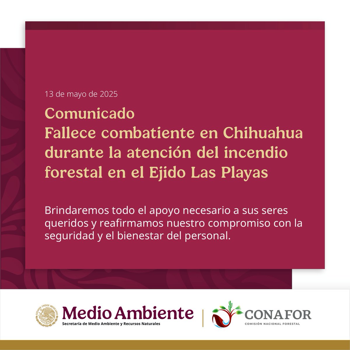 #COMUNICADO: la CONAFOR honra la memoria de Karel Yonathan Navarro Núñez, combatiente forestal que perdió la vida protegiendo nuestros bosques en Chihuahua. Nuestro apoyo y solidaridad para su familia y compañeros.

Da clic aquí 👉gob.mx/conafor/prensa…