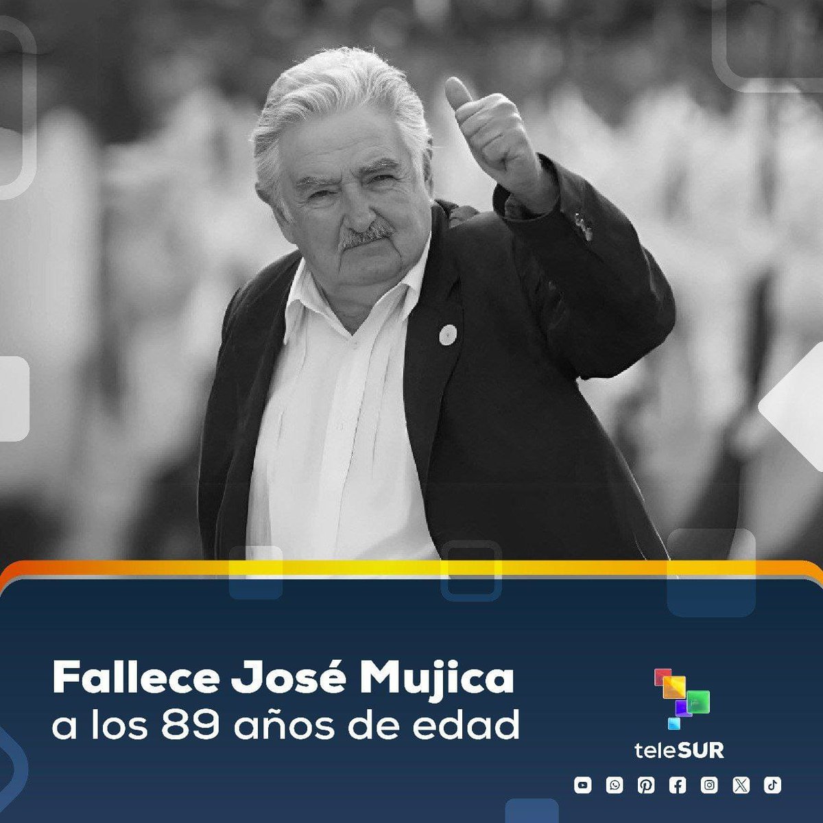 GREGORIO RODRIGUEZ tweet media