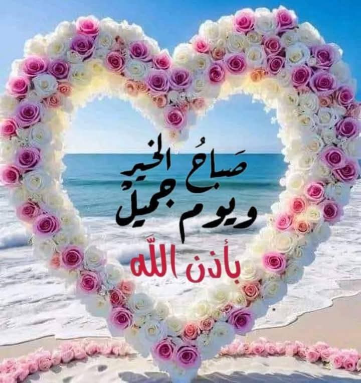 صآفيَه 🌿🍂 💚🇮🇶c̃̾ı̃̾éɑ̃̾я̃̾ tweet media