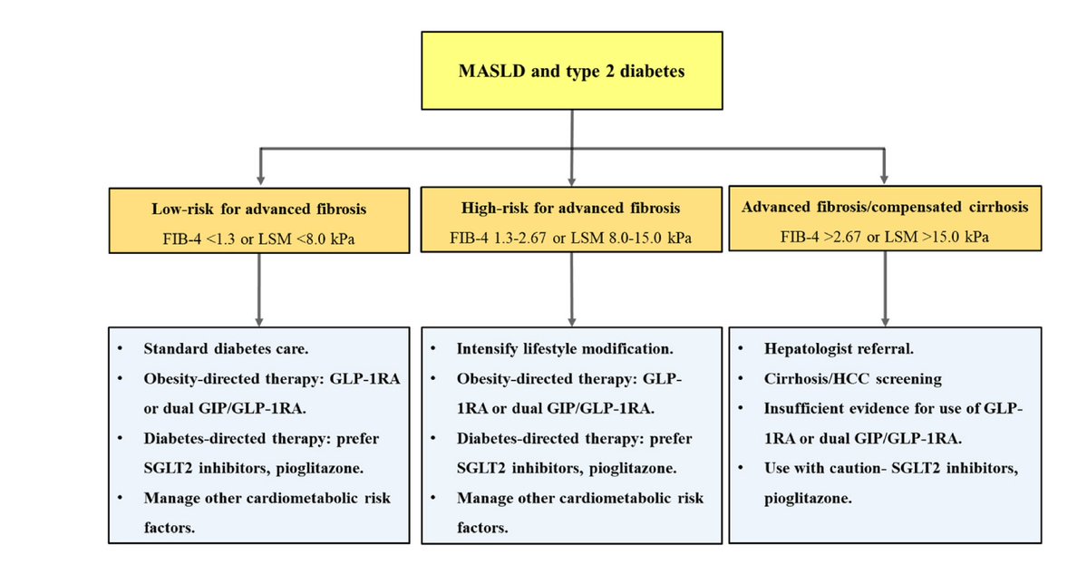 anoop misra (@docanoopmisra) on Twitter photo Simple and rational management #algorithm for #MASLD in Asian #Indians with type 2 #diabetes (Such management in #diabetes published globally for first time). For pdf, email: anoopmisra@gmail.com Simple and rational management #algorithm for #MASLD in Asian #Indians with type 2 #diabetes (Such management in #diabetes published globally for first time). For pdf, email: anoopmisra@gmail.com