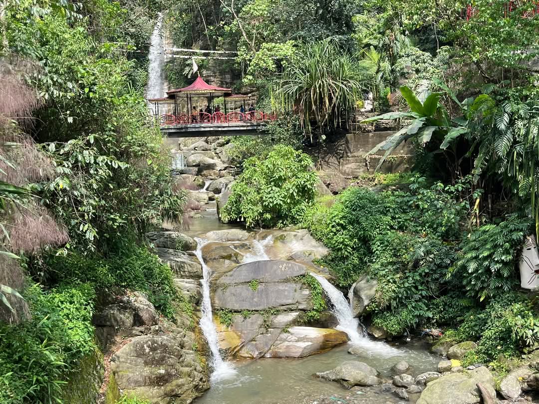 📍Ban Jhakri Watrrfall, Gangtok.
They have developed this place nicely with fun activities and restaurants around it. Good place for families to spend half a day, especially in the evening.
#banjhakriwaterfall #gangtok #sikkim #travel #stampedmoments #naturelovers
