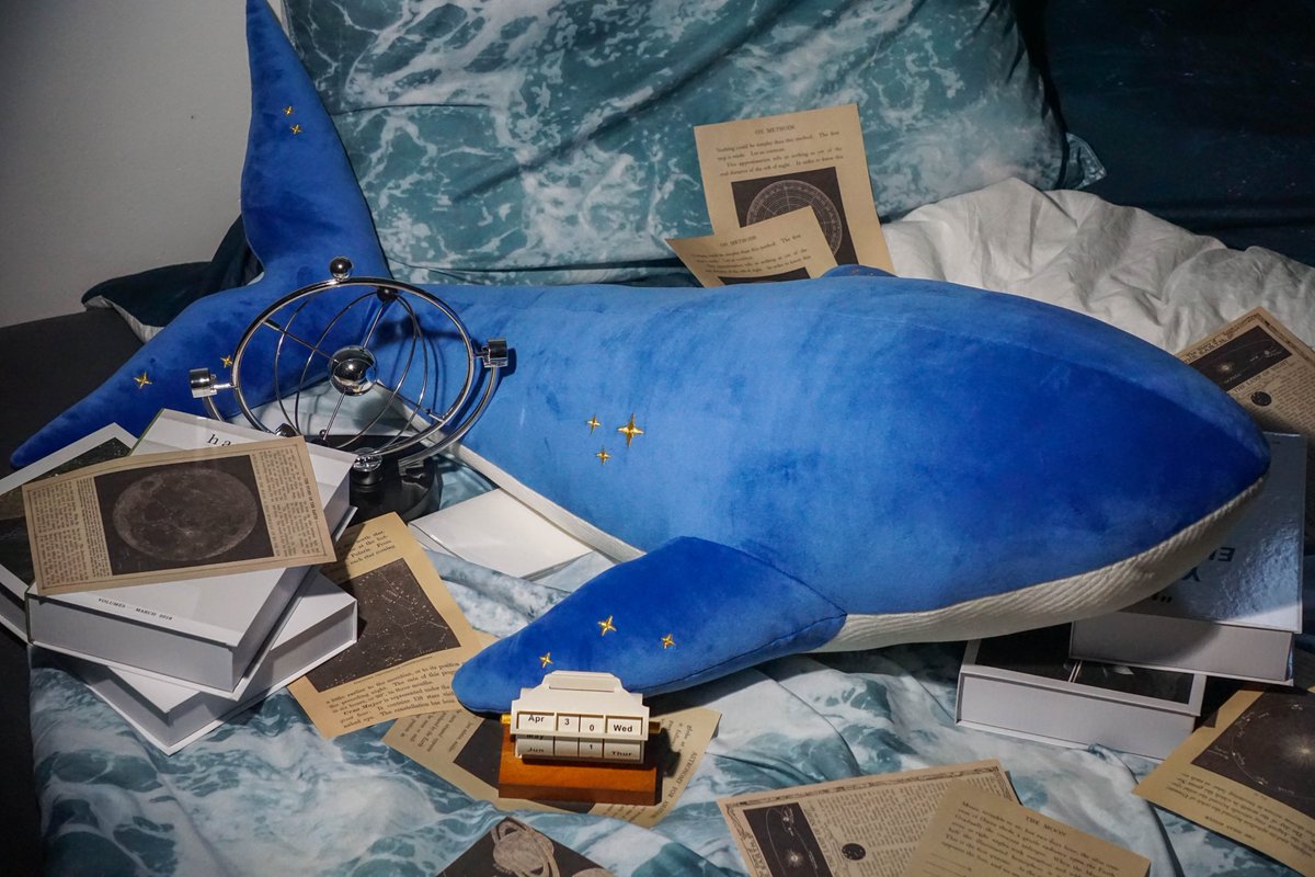 ✨몽몽스베쮸 [꿈꾸는 고래 바디필로우]🐳

📣 tumblbug.com/mongmongspace_…

💫 텀블벅 오픈 기념 이벤트 💫

RT + 팔로우 해주신 분 중
🎁 1분께 고래 바디필로우
🎁 2분께 아크릴 글리터 코롯토를 드려요!

오픈과 동시에 100% 달성🎉 감사합니다...😂😂
많은 분들의 요청으로 탄생한 고래 바디필로우!