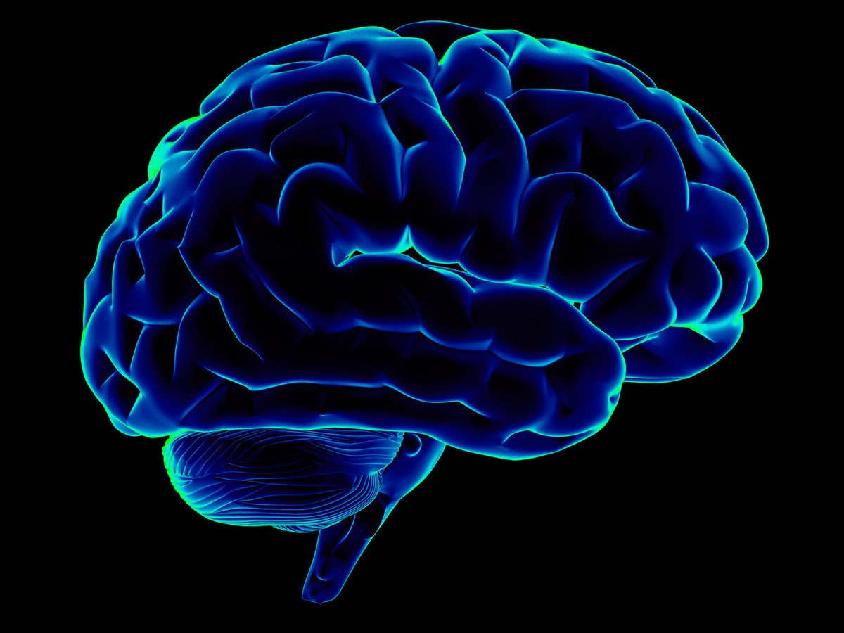 2025Neuro's tweet photo. Targeting blood pressure to protect the brain
Read more at: https://t.co/BaL5rWupsj
To discuss more details about brain
Join us at NEURO Conclave 2025 via: https://t.co/CjfkTHfzDm
#brain #bloodpressure https://t.co/lo1YIsTlje