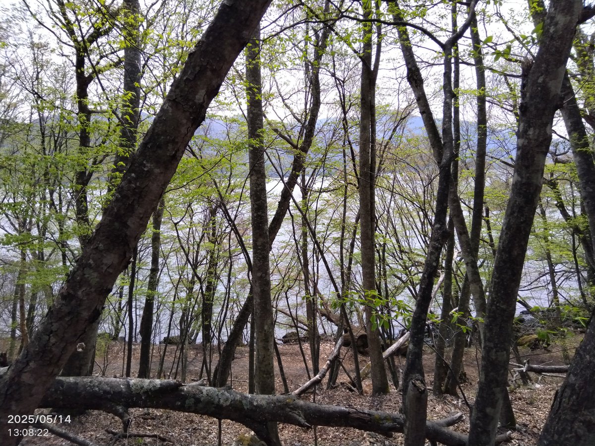 その後はレイクバラして終了💦
銀座ポイントのあっちは釣れてたね🤣