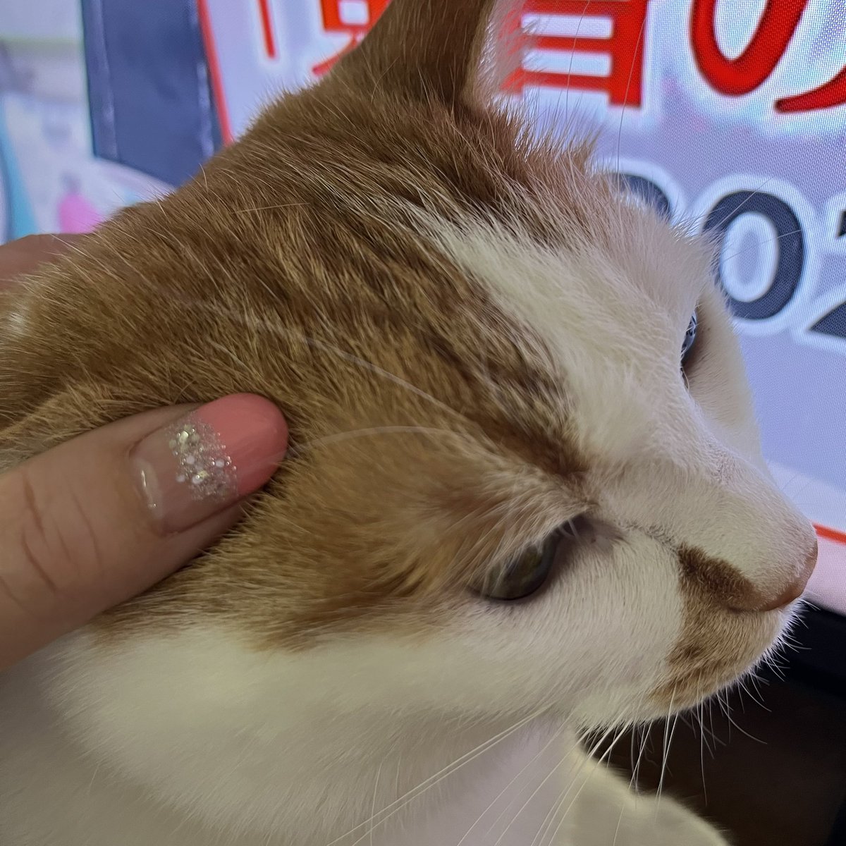 よし‼️
無事セルフネイル出来たっ
ヽ(｡･ω･｡)ﾉ

夕方は 美容院っ♡