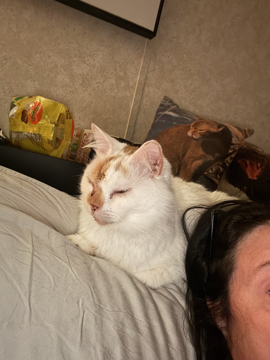 Time for bed