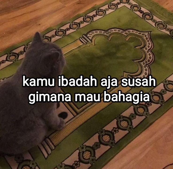 el (@halupulisi) on Twitter photo 