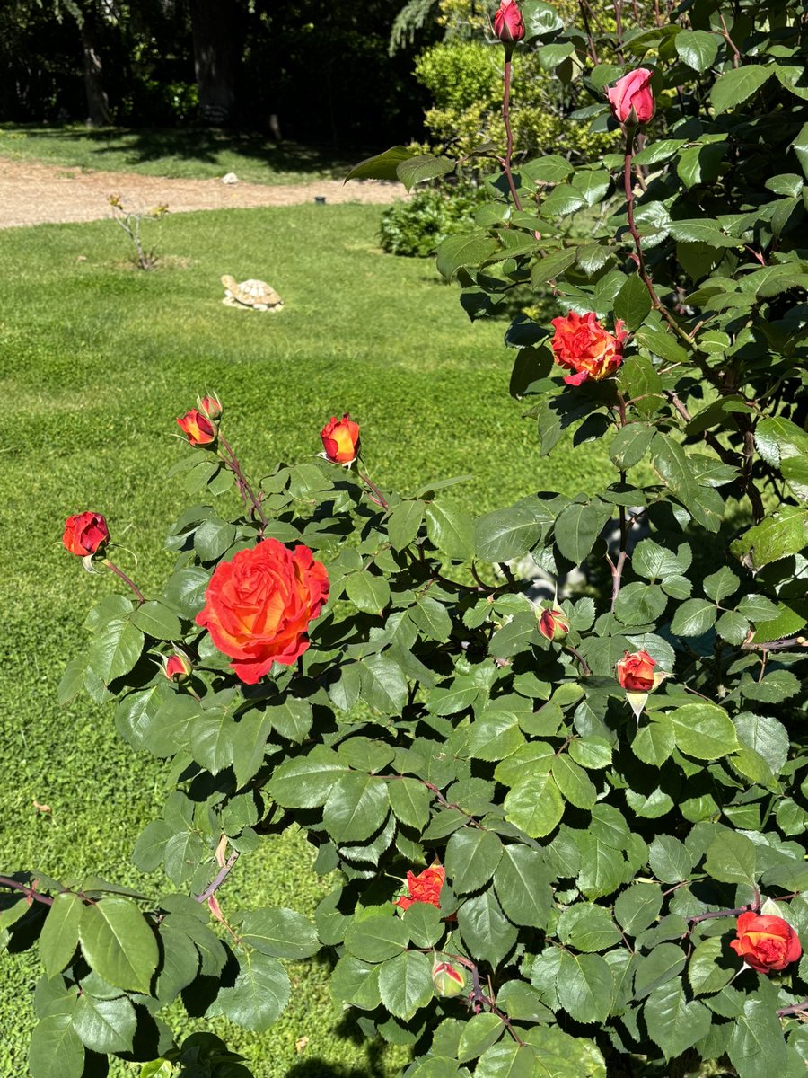 Trabajar así!!! Buenos días 🌞🙌🏻💫