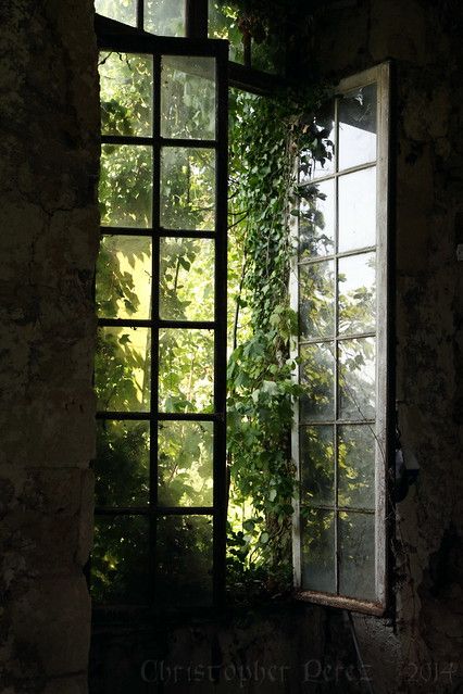 "Open The Window." Is not just to feel the air, but allow life to pass through.