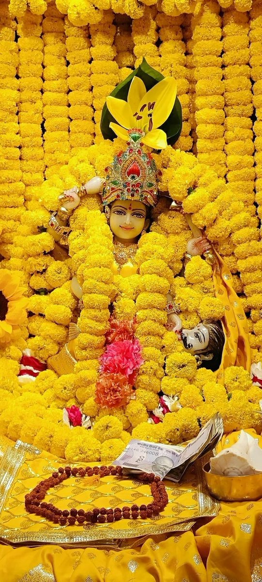 बगलामुखी देवी की साधना-आराधना से मनुष्य जीवन की सभी प्रकार की बाधाओं और समस्याओं को समाप्त कर आनन्द एवं प्रसन्नतापूर्वक जीवन यापन करने लगता है।