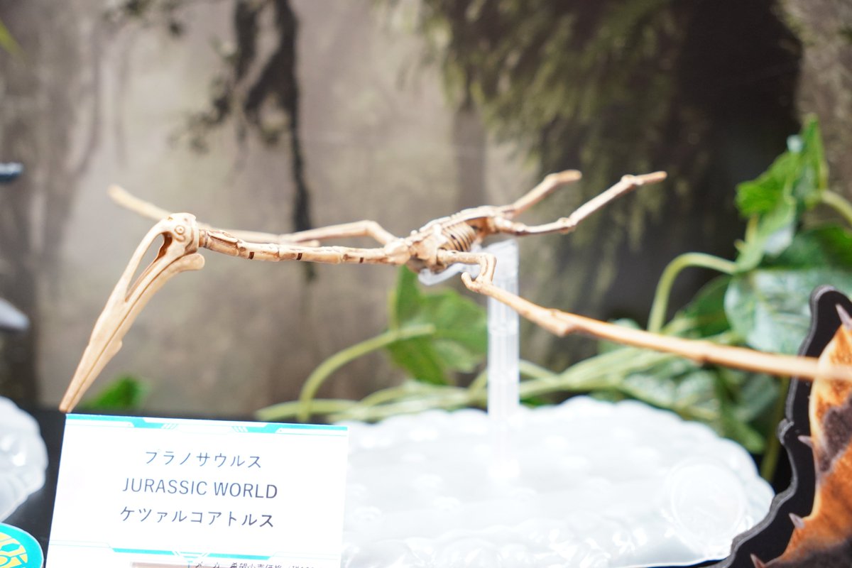 #バンダイ ブース
プラノサウルス
JURASSIC WORLD
ケツァルコアトルス
#静岡ホビーショー2025 
#静岡ホビーショー