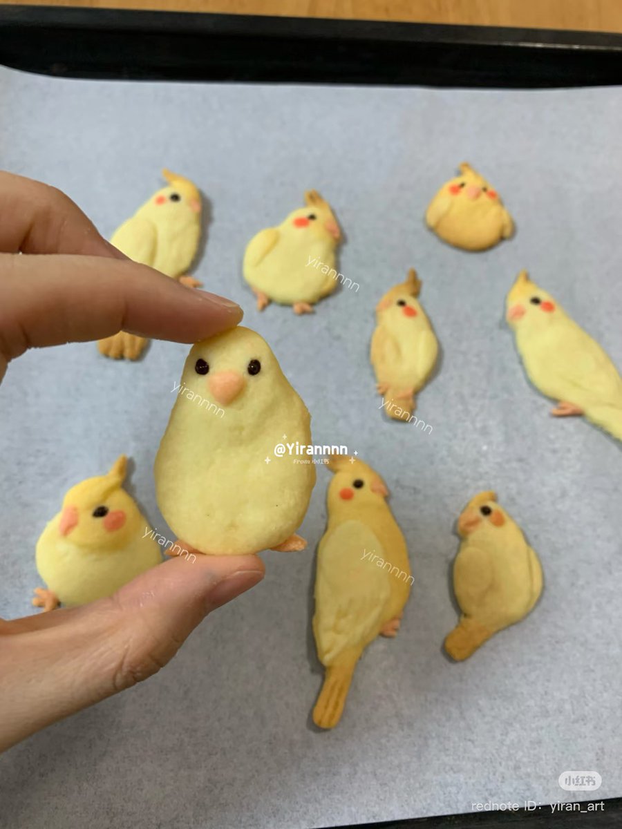 bird cookies