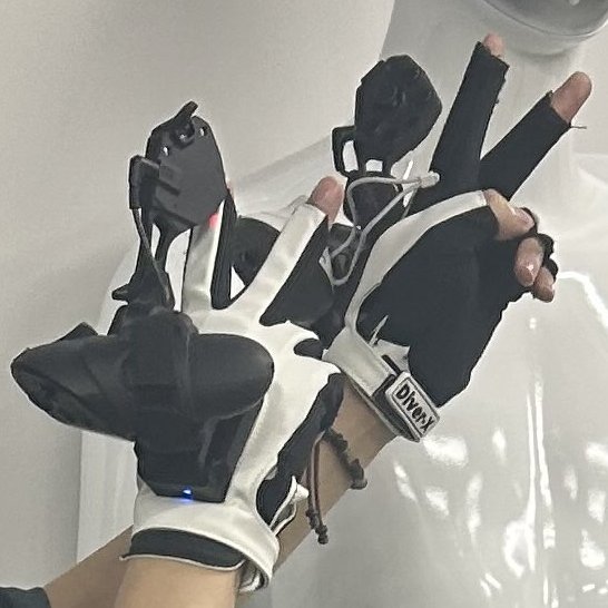 Diver-X Store
