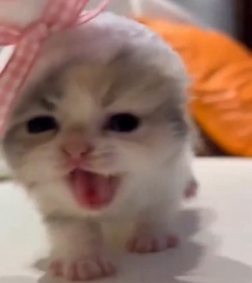 FYI. Don’t install yesterday’s nvidia driver update lol my game has crashed two games in a row. Am reverting to version 576.28 from April 30th