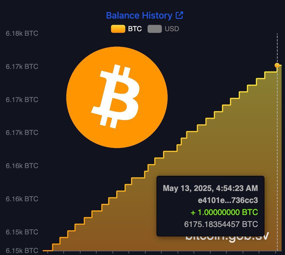kingpowdd's tweet photo. NEW: 🇸🇻 El Salvador bought more #bitcoin today to add to their strategic reserve. https://t.co/PYA1hHb2rp
