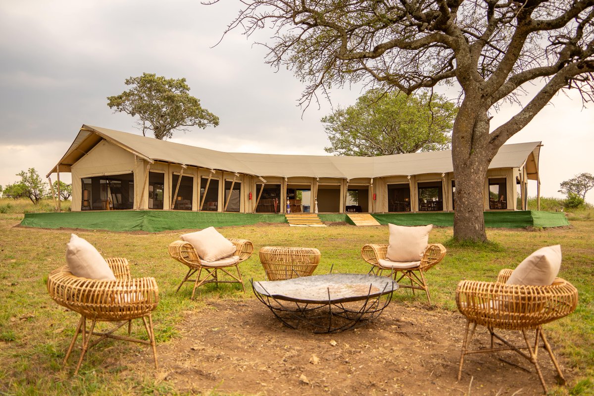 MsetoTravel's tweet photo. 🌿✨ Experience the ultimate safari getaway at Malaika Mara River Luxury Camp! 🦁🌊 Nestled on the banks of the Mara River, enjoy breathtaking views, luxurious accommodations, and unforgettable wildlife encounters. 

Book your adventure today! 🐾📅 #MaraRiver #Serengeti https://t.co/RQZ5c6Ewt0