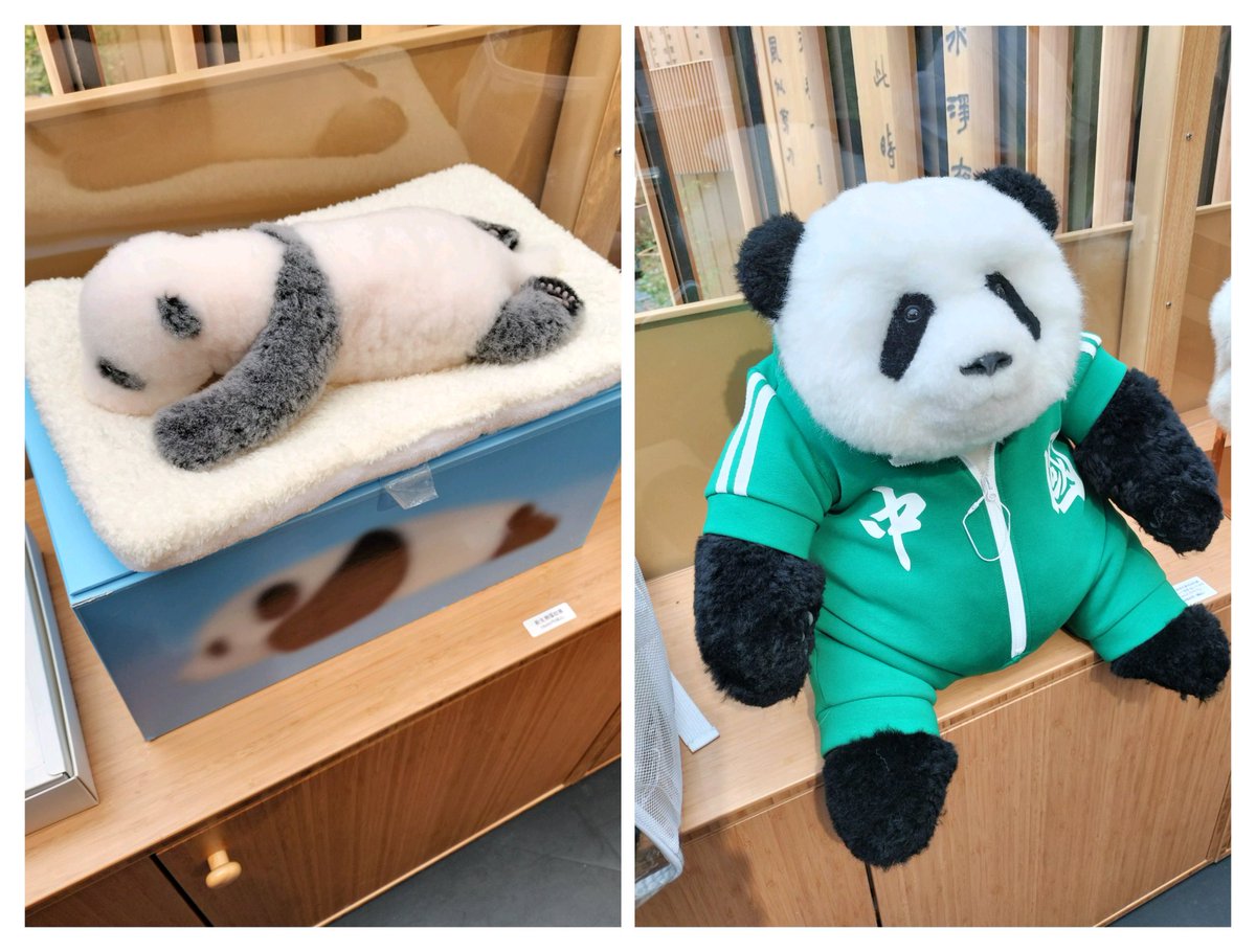 中国館は入るまでに30分ぐらい並んだかな、さすがに展示もかっこよかっ