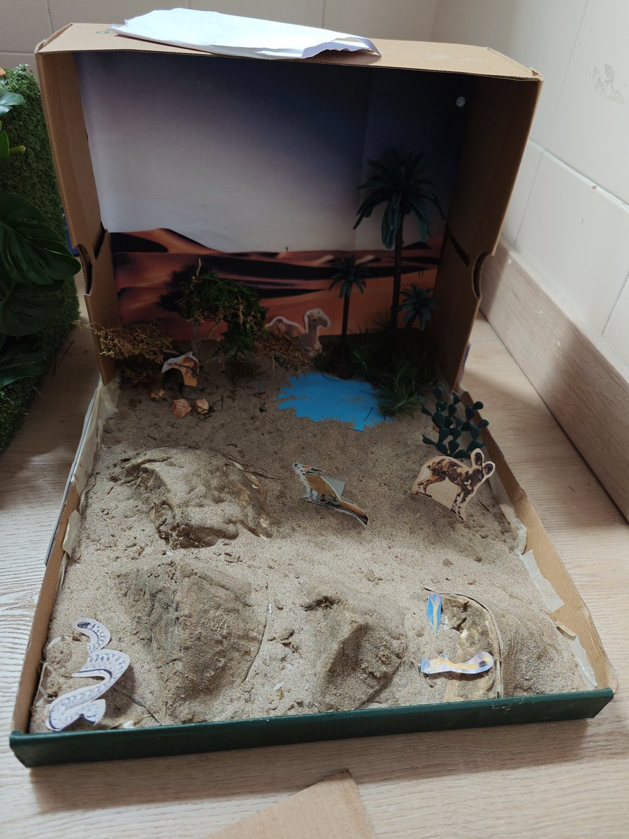 María Inmaculada PS (@fecmips) on Twitter photo INCREDIBLE WORK!
Our #4thGraders has created amazing models of the different ecosystems studied.
👉🏼The rest of the classes were amazed when they visited the exhibition.
GOOD JOB!!!
#ScienceTime
<a href="/colegiosfec/">FEC (Fundación Educación Católica)</a> INCREDIBLE WORK!
Our #4thGraders has created amazing models of the different ecosystems studied.
👉🏼The rest of the classes were amazed when they visited the exhibition.
GOOD JOB!!!
#ScienceTime
<a href="/colegiosfec/">FEC (Fundación Educación Católica)</a>
