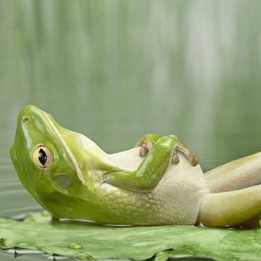 KENNETH R KADAN tweet media