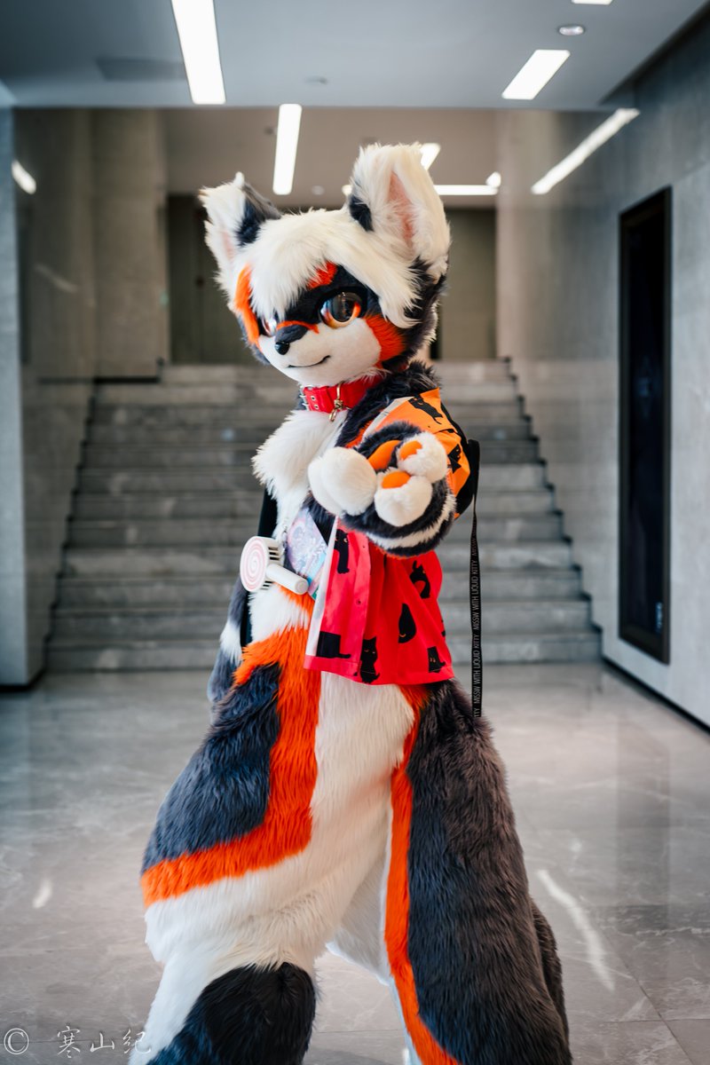 嗨，拜拜👋

📷：<a href="/Cambrian_RW2/">寒山纪</a>