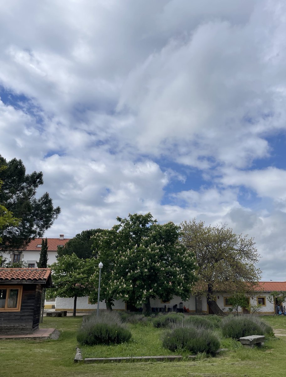 Miriam Fernández tweet media