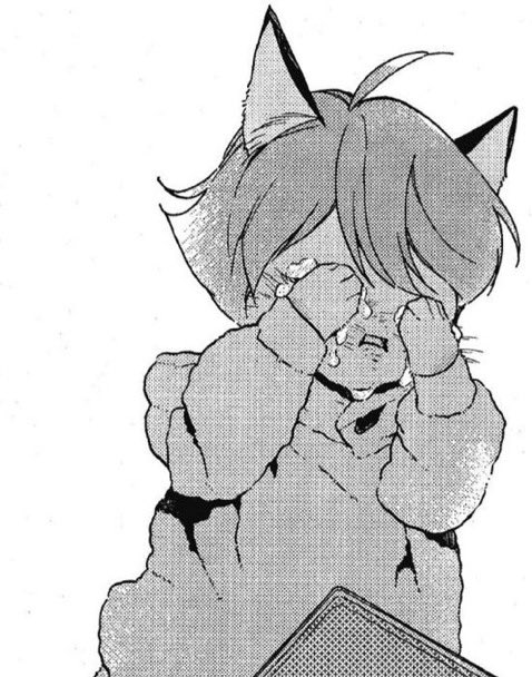 무수리 아커만 (@omg2217_) on Twitter photo 