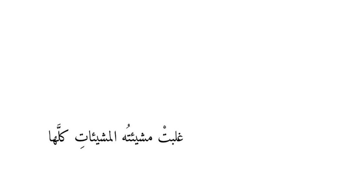 Aya Mohammed tweet media