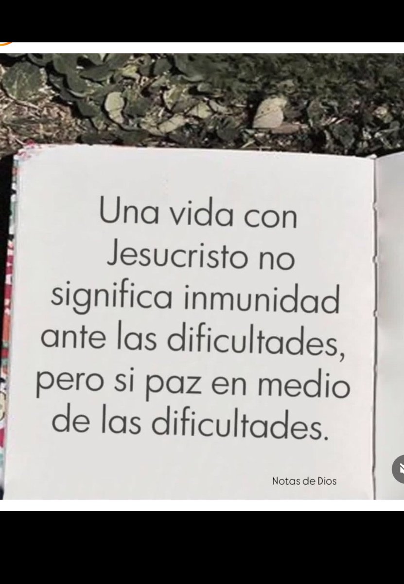 Rosalba Escaño (@rosalbaladiva) on Twitter photo 