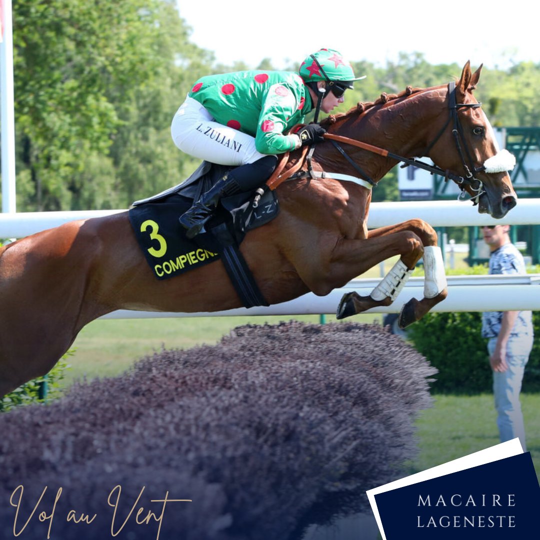 H. de Lageneste & G. Macaire (@hdl_gm_racing) on Twitter photo ๐๐จ๐ฅ ๐๐ฎ ๐๐๐ง๐ญ ๐จ๐ฎ๐ฏ๐ซ๐ ๐ฌ๐จ๐ง ๐ฉ๐๐ฅ๐ฆ๐๐ซ๐ฬ๐ฌ
๐๐๐ฅ๐ฅ๐ค๐๐ง๐ค๐ข๐ ๐๐ ๐พ๐ค๐ข๐ฅ๐๐ฬ๐๐ฃ๐
Fils de la championne Cicalina, ๐ฉ๐ผ๐น ๐ฎ๐ ๐ฉ๐ฒ๐ป๐ (๐๐ฏ ๐๐ผ๐น๐ถ๐ฎ๐๐ต ๐ฑ๐ ๐๐ฒ๐ฟ๐น๐ฎ๐ถ๐)s'impose pour sa deuxiรจme sortie dans le Prix de Sospel associรฉ ร <a href="/lucaszuliani13/">lucas zuliani</a> . ๐๐จ๐ฅ ๐๐ฎ ๐๐๐ง๐ญ ๐จ๐ฎ๐ฏ๐ซ๐ ๐ฌ๐จ๐ง ๐ฉ๐๐ฅ๐ฆ๐๐ซ๐ฬ๐ฌ
๐๐๐ฅ๐ฅ๐ค๐๐ง๐ค๐ข๐ ๐๐ ๐พ๐ค๐ข๐ฅ๐๐ฬ๐๐ฃ๐
Fils de la championne Cicalina, ๐ฉ๐ผ๐น ๐ฎ๐ ๐ฉ๐ฒ๐ป๐ (๐๐ฏ ๐๐ผ๐น๐ถ๐ฎ๐๐ต ๐ฑ๐ ๐๐ฒ๐ฟ๐น๐ฎ๐ถ๐)s'impose pour sa deuxiรจme sortie dans le Prix de Sospel associรฉ ร <a href="/lucaszuliani13/">lucas zuliani</a> .
