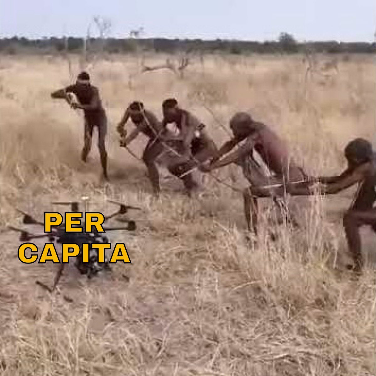 AbsoluteHabitus tweet media