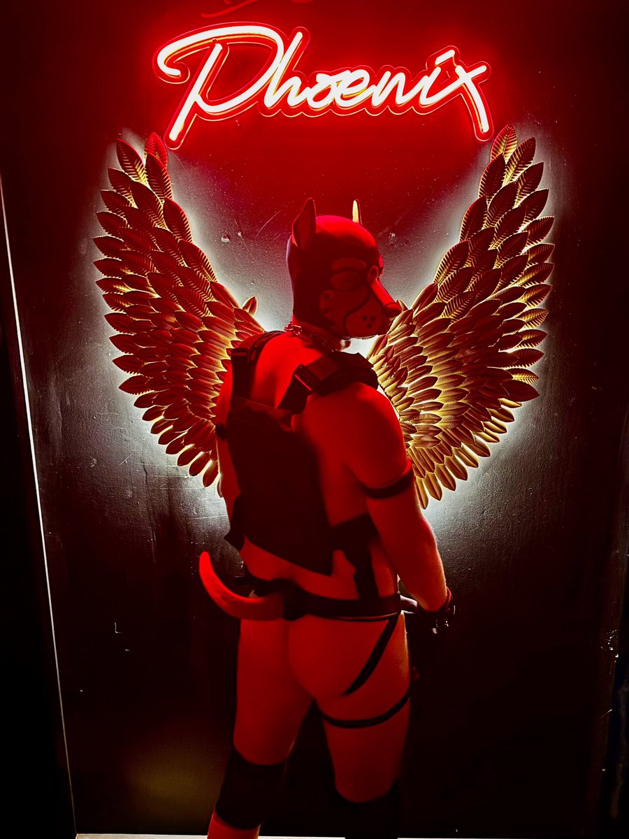 Service dog ready for… well, service 🐕‍🦺

#gaypup #gaypuppyplay #gaypupsnz #puppyhood <a href="/MrSLeather/">Mr-S-Leather</a>