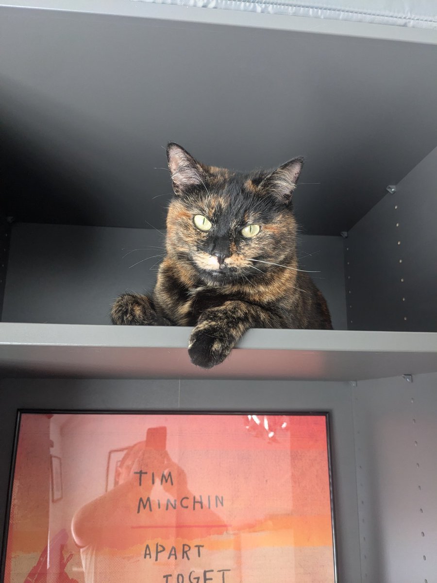 Dr Andy Smith (@evilokapi.bsky.social) tweet media