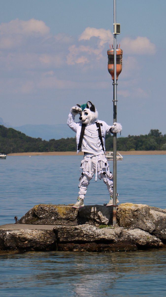 White_Point_'s tweet photo. Where all those furs at? 

#FursuitEveryday https://t.co/RXSysNX5SK