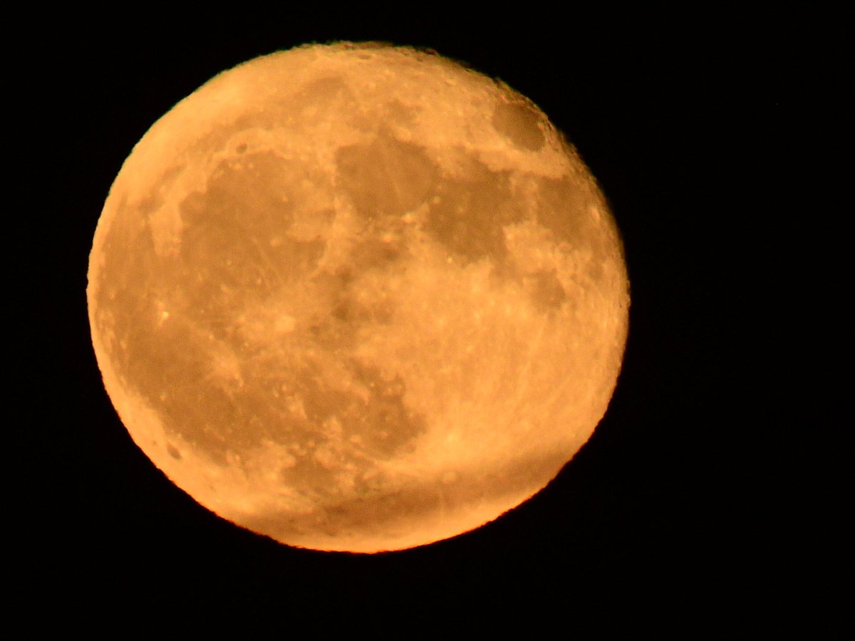 A few snaps of Tuesday's moon rise, a beautiful colour. 98.5% waning gibbous
#Flowermoon
#MoonHour #StormHour
#astronomy
