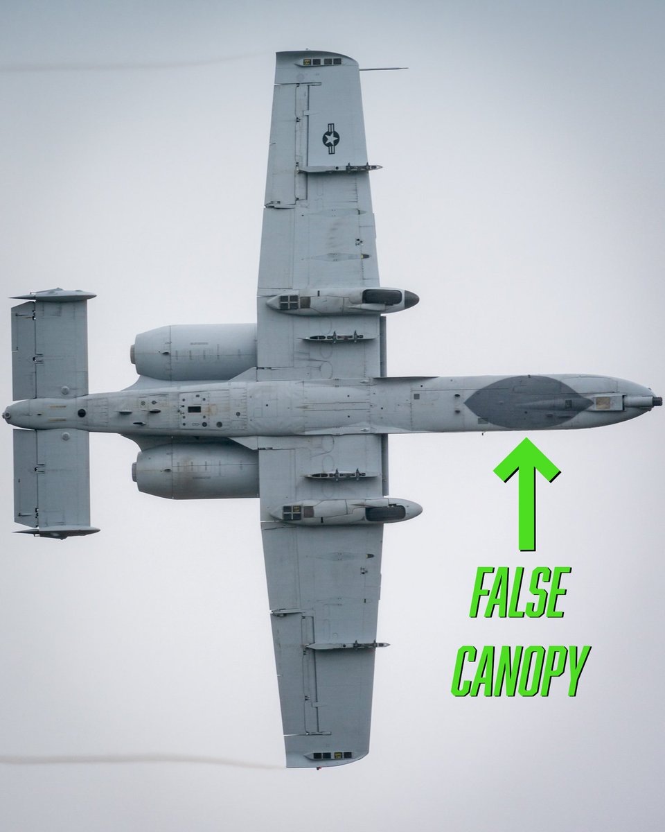 Did you know the false canopy is a camouflage technique created and patented by a USAF artist Keith Ferris in 1980? 

It borrows from a technique found in nature called automimicry. Unlike conventional camouflage that blends with surrounding environments, automimicry involves
